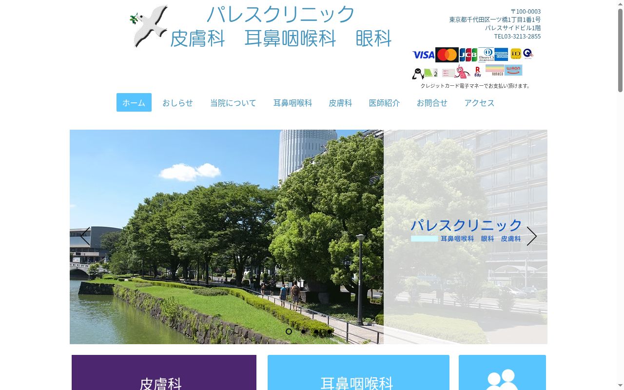 パレスクリニックの公式サイトのスクリーンショット