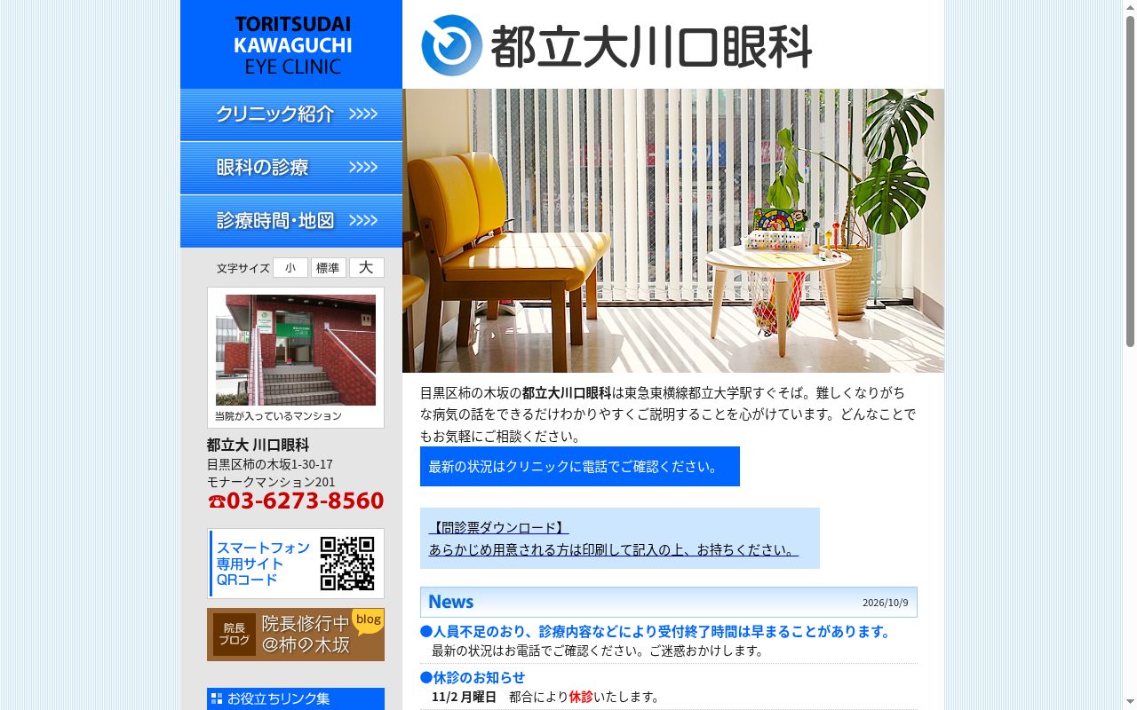 都立大川口眼科の公式サイトのスクリーンショット