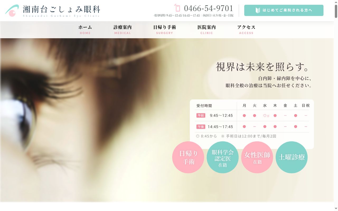 湘南台ごしょみ眼科の公式サイトのスクリーンショット